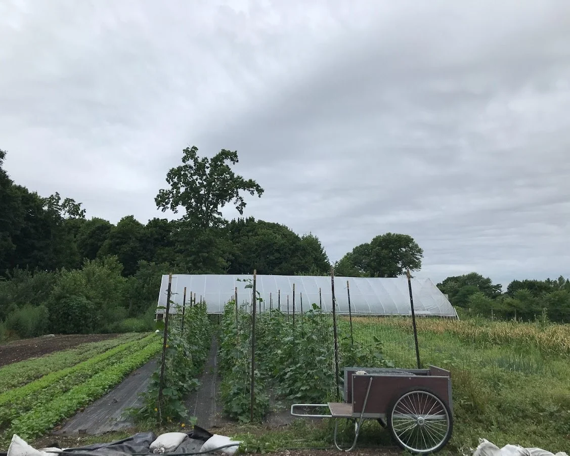 Snug Harbor — Anne Saxelby Legacy Fund